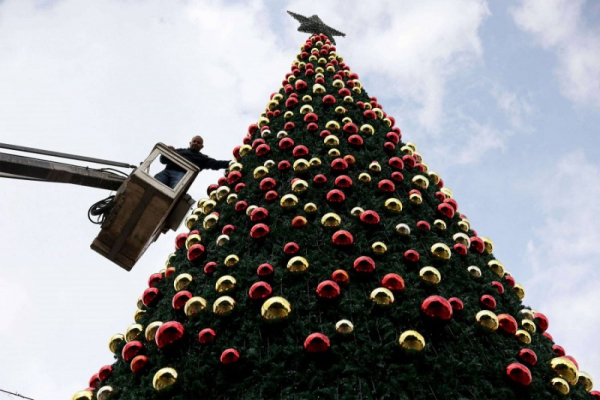 بيت لحم تتزين لعيد الميلاد بشجرة "الصمود"!!